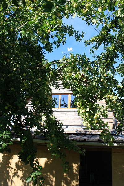 20110816 Boquet Bosquet Buildings 131.jpg